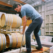 Load image into Gallery viewer, Fates' Lieutenant - 'Ampelos Vineyard' - Pinot Noir - Sta Rita Hills AVA, CA - 2023
