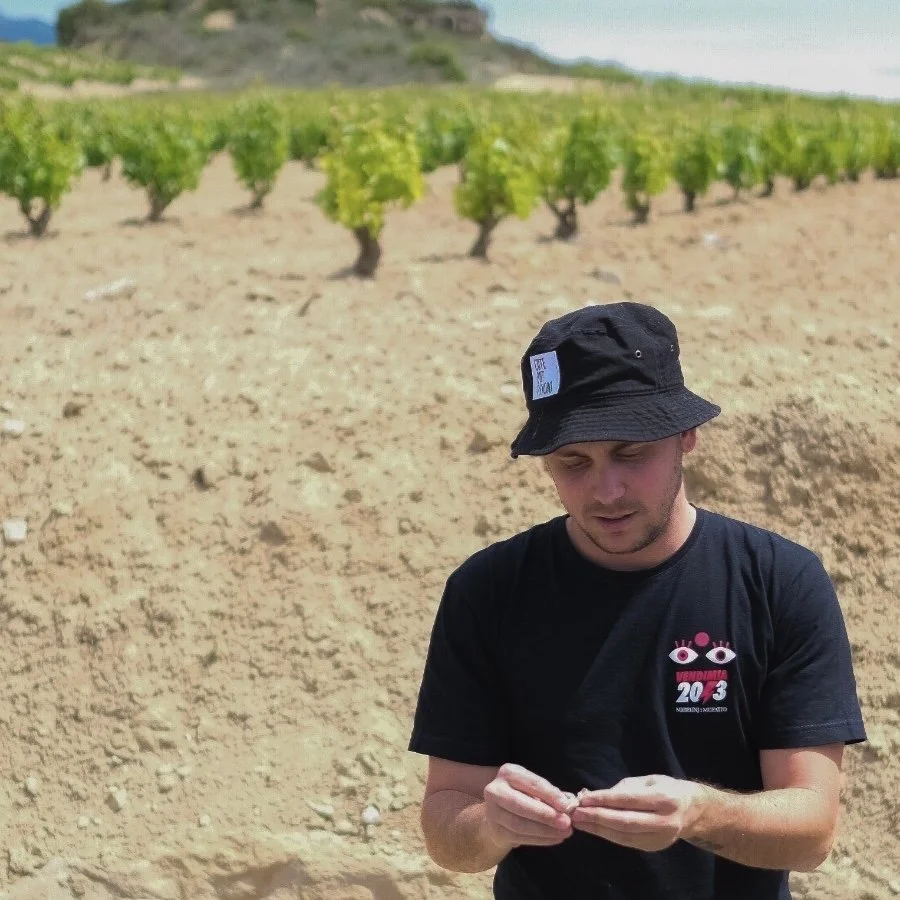 Dominio del Challao - 'Virna' - Tempranillo, Garnacha - Rioja, ES - 2022