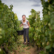 Load image into Gallery viewer, Limited Presale - Chantrêves - 'Bas Des Ees' - Aligoté - Burgundy, FR - 2024
