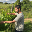 Load image into Gallery viewer, Winkler - Pétnat of Boschera - Colli Trevigiani, Veneto, IT - 2021
