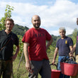 Load image into Gallery viewer, Sàgona - 'Primi Passi' - Malvasia Bianca - Toscana, IT - 2022
