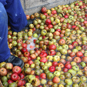 Astiazaran - 'Barrika' - Basque Cider - Basque Country, ES - 