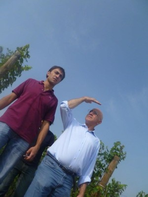 GD Vajra - Dolcetto - Alba, Piemonte, IT - 2023