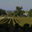 Load image into Gallery viewer, Domaine de Galouchey - 'Vin de Jardin' - Bordeaux Blend - Bordeaux, FR - 2017 - 1500ml
