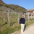 Load image into Gallery viewer, Hidden Treasures by Moric - 'HID2' - Furmint, Olaszriesling - Somlo, HU - 2017
