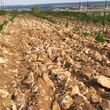 Load image into Gallery viewer, Kolfok - 'Querschnitt' - Rosé of Pinot Noir - Burgenland, AT - 2020
