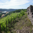 Load image into Gallery viewer, Stefan Vetter - 'GK' - Sylvaner - Kalbenstein, Franconia, DE - 2020
