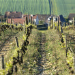Load image into Gallery viewer, Goisot - 'Exogyra Virgula' - Sauvignon Blanc - Saint Bris, FR - 2022
