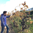 Load image into Gallery viewer, Esteve i Gibert - 'l'Oblit' - Sumoll - Penedès, ES - 2017
