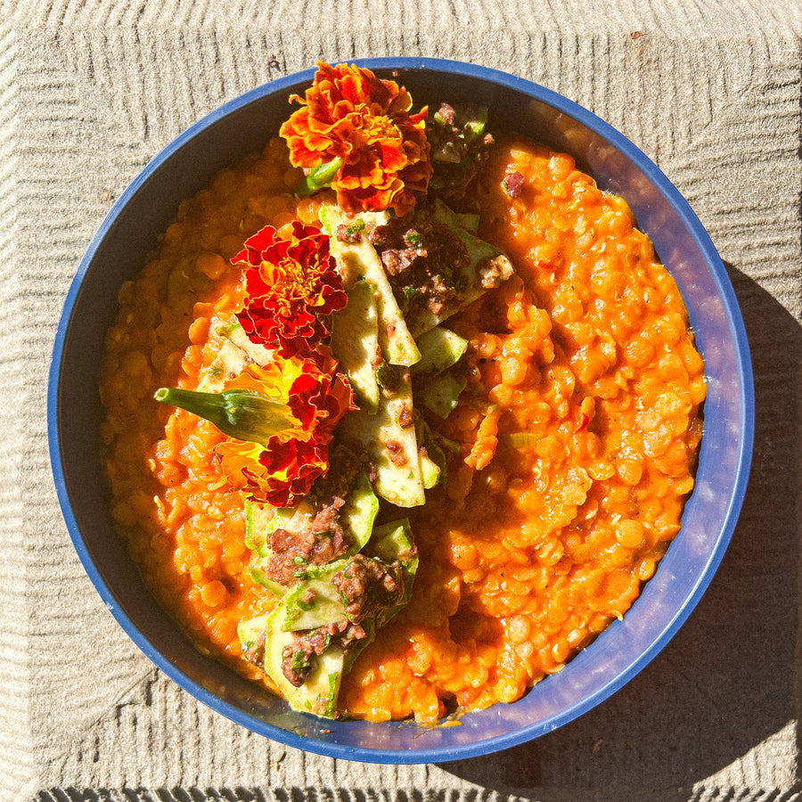 Lentils Bolognese