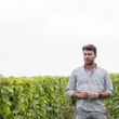 Load image into Gallery viewer, Limited Presale - Les Quatre Piliers - 'Chapitre I' - Sauvignon Blanc - Touraine, Loire, FR - 2024
