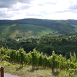 Load image into Gallery viewer, Beurer - 'Weiss Trocken' - White Blend - Württemberg, DE - 2022
