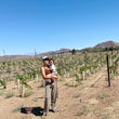 Load image into Gallery viewer, Lost Ranch - 'Pillars of Earth' - "Mataro, Zinfandel, Grenache" - Cucamonga Valley, CA - 2023
