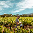 Load image into Gallery viewer, Ruth Lewandowski - 'Chilion' - Riesling - Fox Hill Vineyard, Mendocino, CA - 2022
