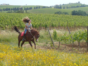 Val di Toro - 'Maremma' - Vermentino, Grechetto - Tuscany, IT - 2021