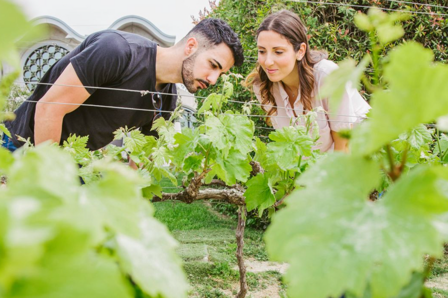 Mastinell - Cava - Brut Nature - Penedes, ES - 2017