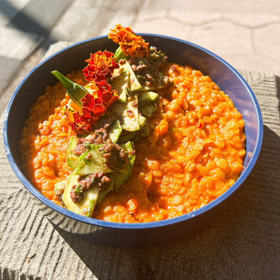 Lentils Bolognese