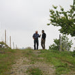 Load image into Gallery viewer, Aldo Clerico - Dolcetto - Dogliani, Piemonte, IT - 2021
