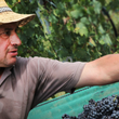 Load image into Gallery viewer, Saetti - 'RossoViola' - Lambrusco - Emilia Romagna, IT - 2023
