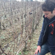 Load image into Gallery viewer, Mikaël Bouges - 'La Pente de Chavigny' - Sauvignon Blanc - Touraine, Loire Valley, FR - 2023
