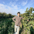 Load image into Gallery viewer, MARTO - 'Weiss' - Riesling, Müller Thurgau, Silvaner, Scheurebe, Würzer, Faber, Bacchus - Rheinhessen, DE - 2023 producer
