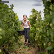Load image into Gallery viewer, Chantrêves - 'Matsuri Pétnat' - Gamay, Aligoté - Burgundy, FR - 2023

