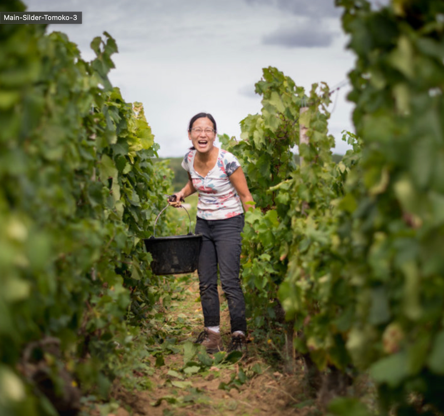Chantrêves - 'Mainbey' - Chardonnay - Hautes Côtes de Beaune, Burgundy, FR - 2023