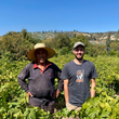 Load image into Gallery viewer, Pino Roman - Semillon - Itata Valley, CL - 2022
