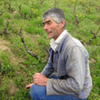 Load image into Gallery viewer, Michel Guignier - Gamay - Beaujolais, FR - 2025
