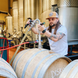 Load image into Gallery viewer, Disko - 'North Canyon Vineyard' - Grüner Veltliner - Santa Barbara County, CA - 2023
