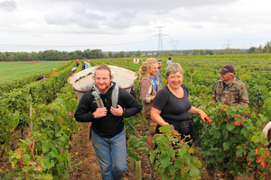 Satellite x Entity of Delight - 'Rocket Wrangler' - Rosé of Pinot Noir, Grenache - Central Coast, CA - 2023