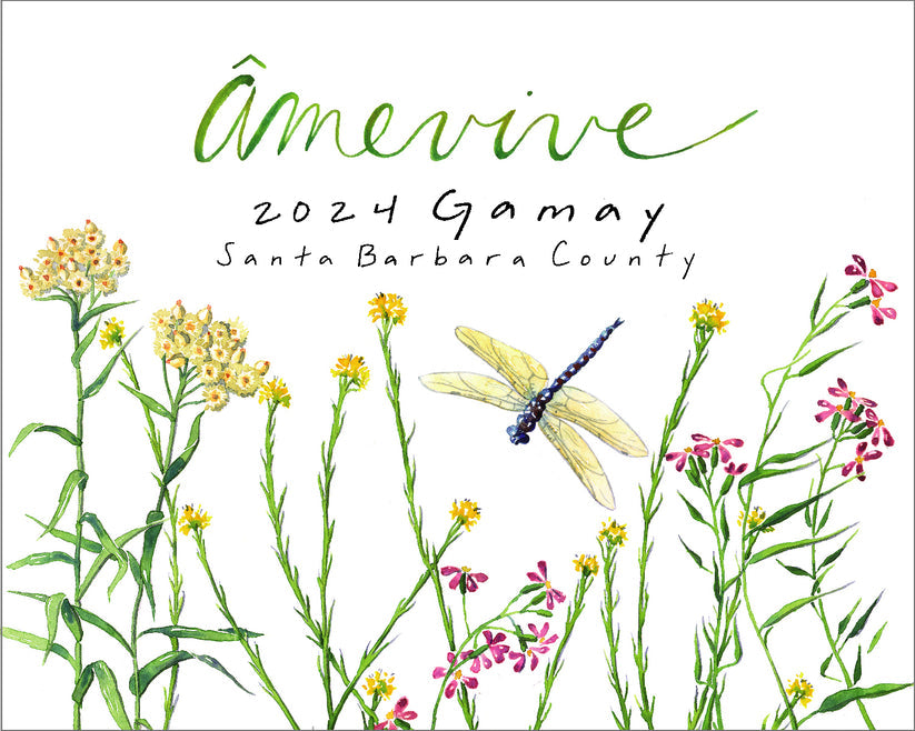 Âmevive - Gamay - Santa Barbara County, CA - 2024