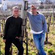 Load image into Gallery viewer, Bodrog Borműhely - 'Dry' - Furmint; Hárslevelű - Tokaj, HU - 2024
