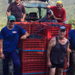 Load image into Gallery viewer, Cantina del Frignano - 'Scurone' - Lambrusco Grasparossa - Emilia Romagna, IT - 2021
