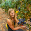 Load image into Gallery viewer, Luna Hart - 'Spear Vineyard' - Grüner Veltliner - Santa Rita Hills, Santa Barbara County, CA - 2023
