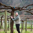 Load image into Gallery viewer, Pedro Méndez - Albariño - Val do Salnés, Rías Baixas, FR - 2022
