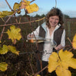 Load image into Gallery viewer, Domaine Vincendeau - 'L'echo du Puits' - Chenin Blanc - Anjou, FR - MV
