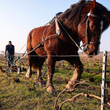 Load image into Gallery viewer, Benoît Marguet - 'Yuman - 1er Cru Blanc de Blanc' - Champagne - Villers Mamery, Champagne, FR - 2022
