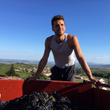 Load image into Gallery viewer, Thibault Ducroux - 'En Roue Libre' - Gamay - Beaujolais, FR - 2022
