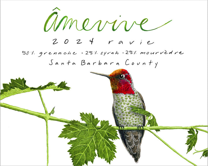 Âmevive - 'Ravie' - Grenache Blend - Santa Barbara County, CA - 2024
