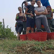 Load image into Gallery viewer, Emilia Pennac - Riesling Renano - Pavia, Lombardia, IT - 2022
