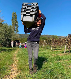 Domaine Dandelion - 'Sur la Plage' - Pinot Noir - Hautes Côtes de Beaune, Burgundy, FR - 2023