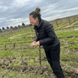 Load image into Gallery viewer, Pommier - 'Hautérivien' - Chardonnay - Petit-Chablis, Burgundy, FR - 2023
