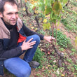 Load image into Gallery viewer, Domaine Sérol - 'Chabochard' - Rosé of Gamay - Loire Valley, FR - 2024
