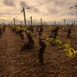 Load image into Gallery viewer, F&amp;F Bachelier - 'Vielle Vignes' - Chardonnay - Chablis, Burgundy, FR - 2023
