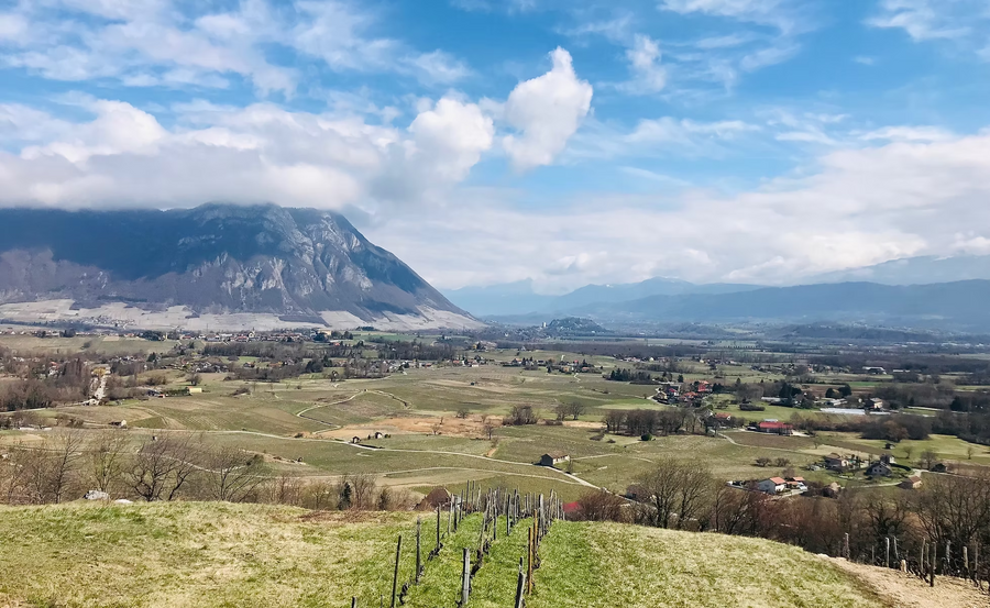 Domaine Labbé - 'l'Essential' - Mondeuse - Savoie, FR - 2021