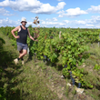 Load image into Gallery viewer, Sylvain Leest - 'Oh' Nice' - Pineau d'Aunis - Loire Valley, FR - 2021
