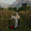 Load image into Gallery viewer, Foradori - 'Lezèr' - Teroldego - Alto-Adige, IT - 2025 - 1500ml
