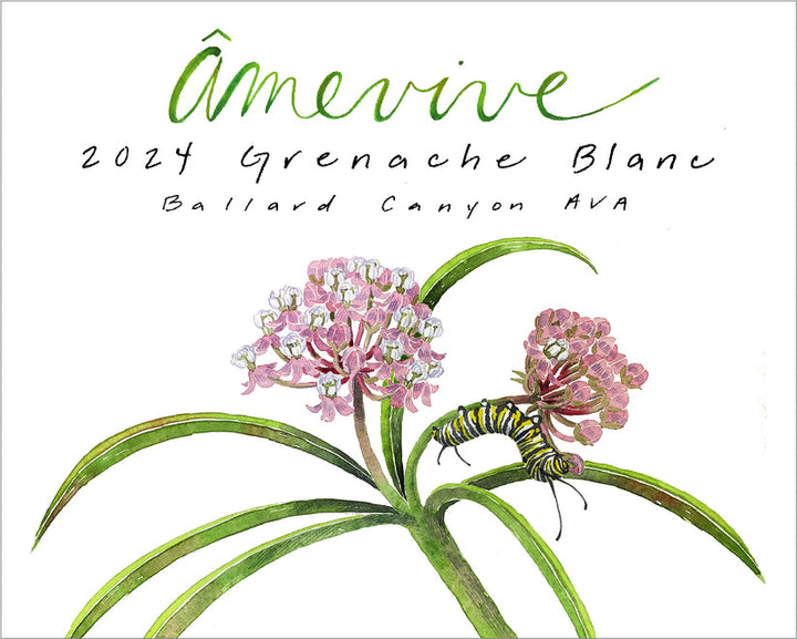 Âmevive - Grenache Blanc - Ballard Canyon, CA - 2024