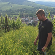 Load image into Gallery viewer, Beurer - 'Weiss Trocken' - White Blend - Württemberg, DE - 2022
